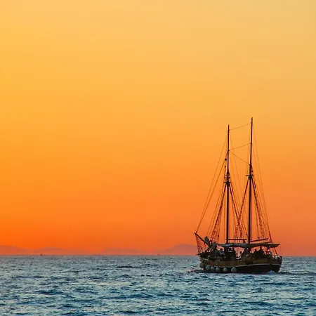 Center Amaryllis * ロヴィニ