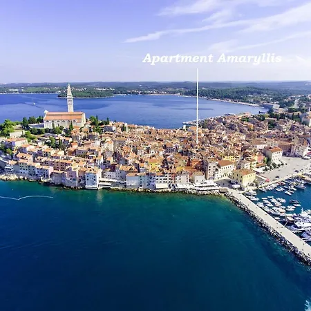 アパート Center Amaryllis *