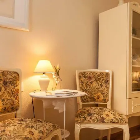 Center Amaryllis ロヴィニ