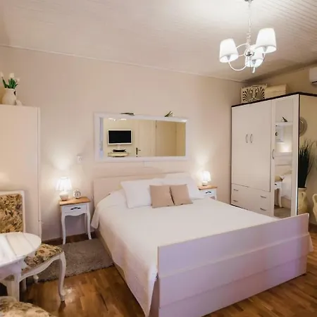 Center Amaryllis ロヴィニ