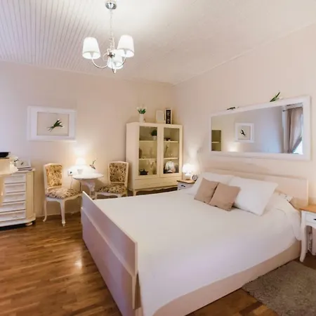 Center Amaryllis ロヴィニ